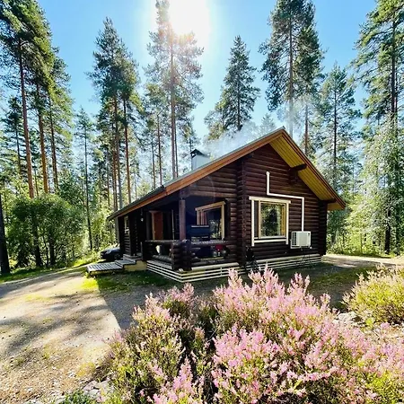 Moekki Jaerven Rannalla Maentymetsaessae Country house