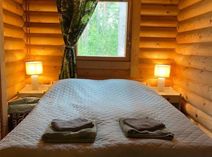 Moekki Saunalla Maentymetsaessae 컨트리하우스 *