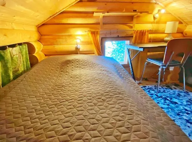 Moekki Saunalla Maentymetsaessae 포르사